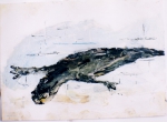Lizzard